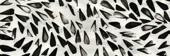 aputbi's profile banner image