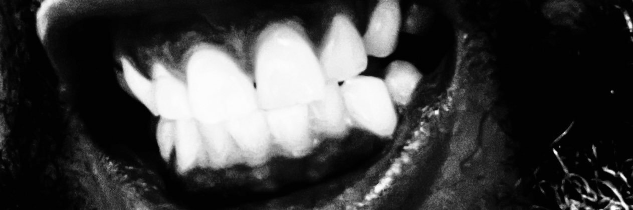Imagesbymahkim's profile banner image
