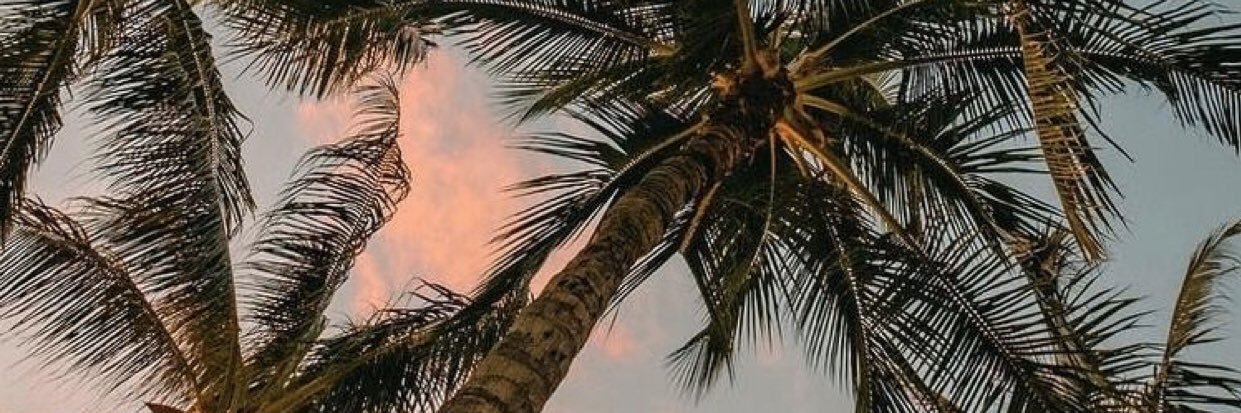 NatashaEstrada7's profile banner image