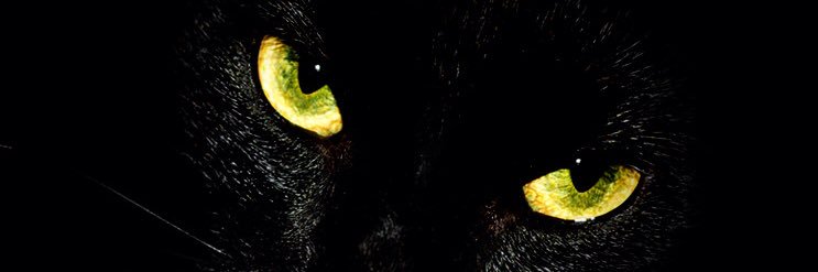 nadezda20's profile banner image