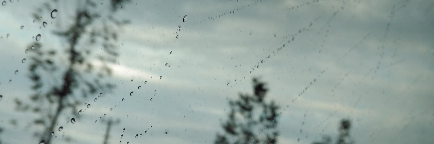 61_idem's profile banner image