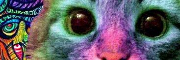 Levi_carter3's profile banner image