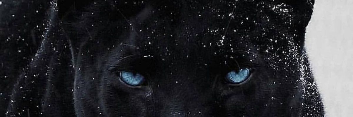 Pascalmawelela's profile banner image