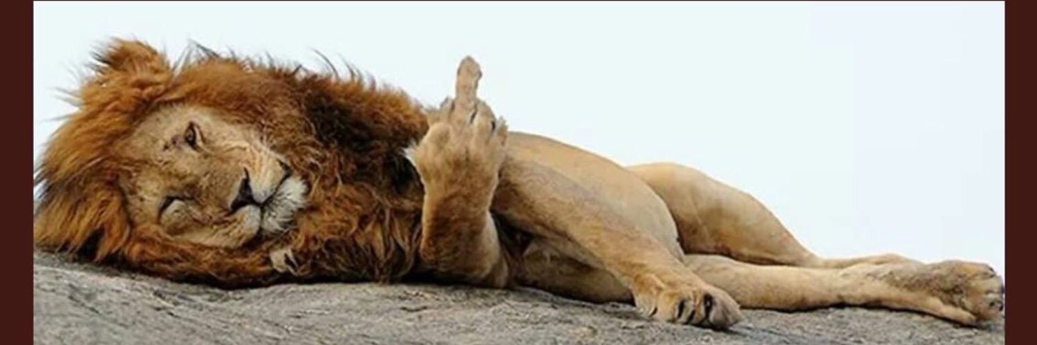 General Failure banner