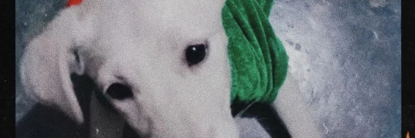 poncej_'s profile banner image