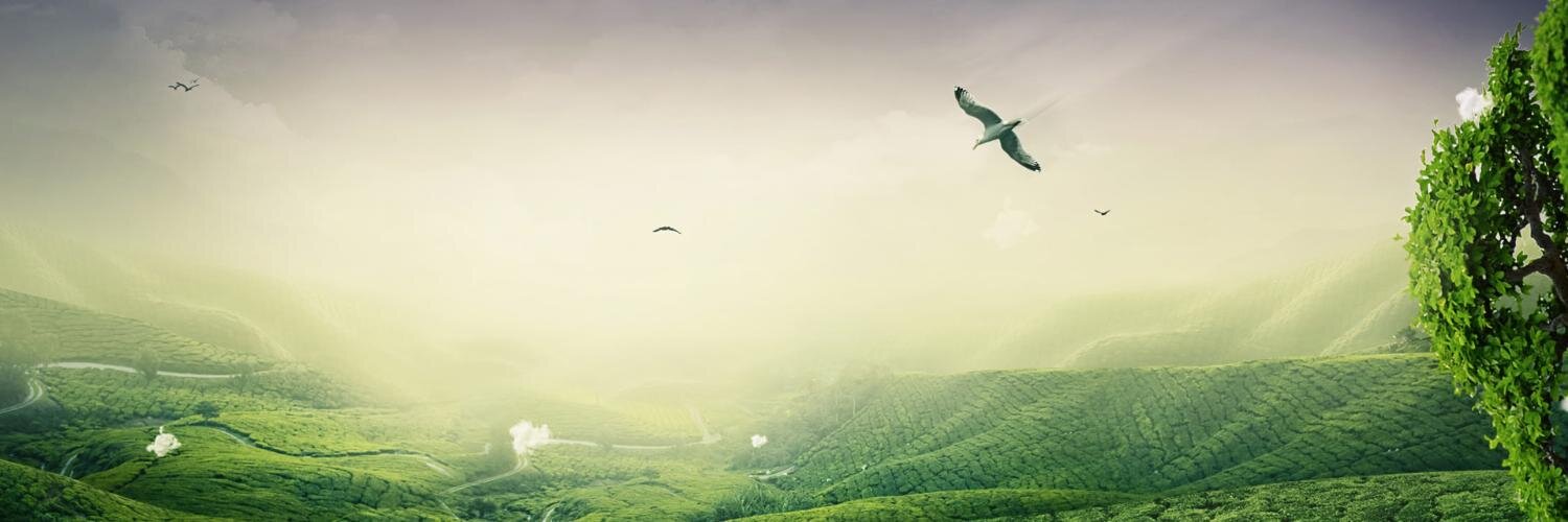 TDS_PRASAD's profile banner image