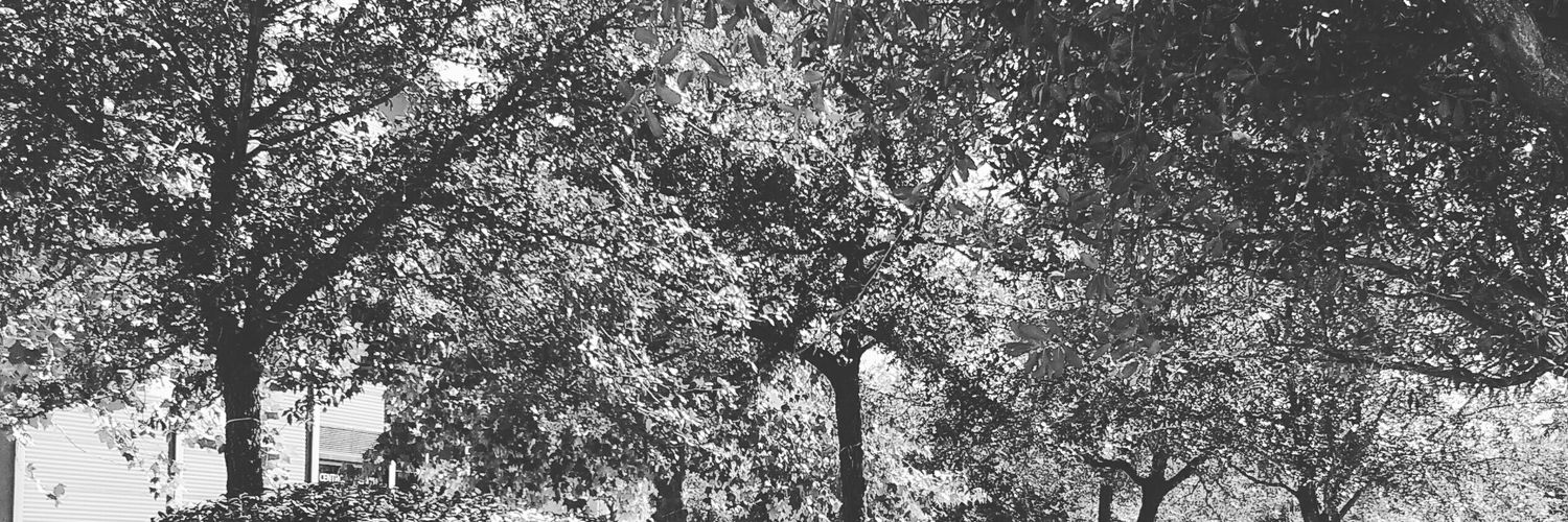 DafneMRM's profile banner image