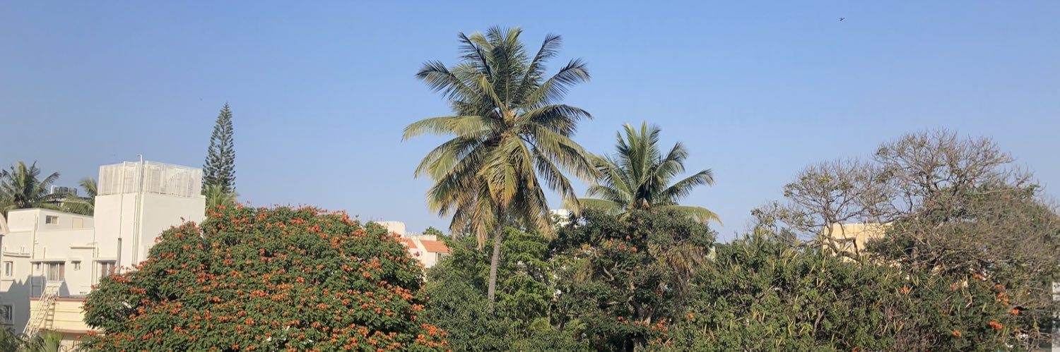 RonitPandya's profile banner image
