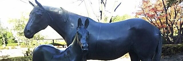 itto893's profile banner image