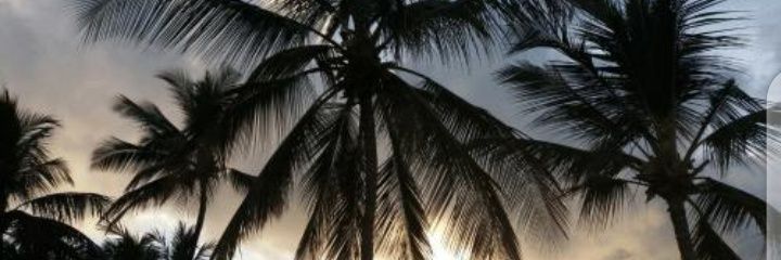 andrewtsya's profile banner image