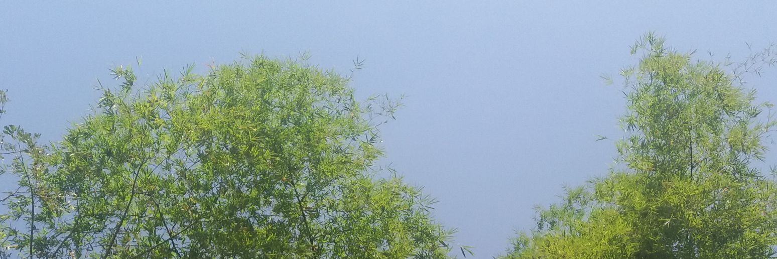 ryennaldy's profile banner image