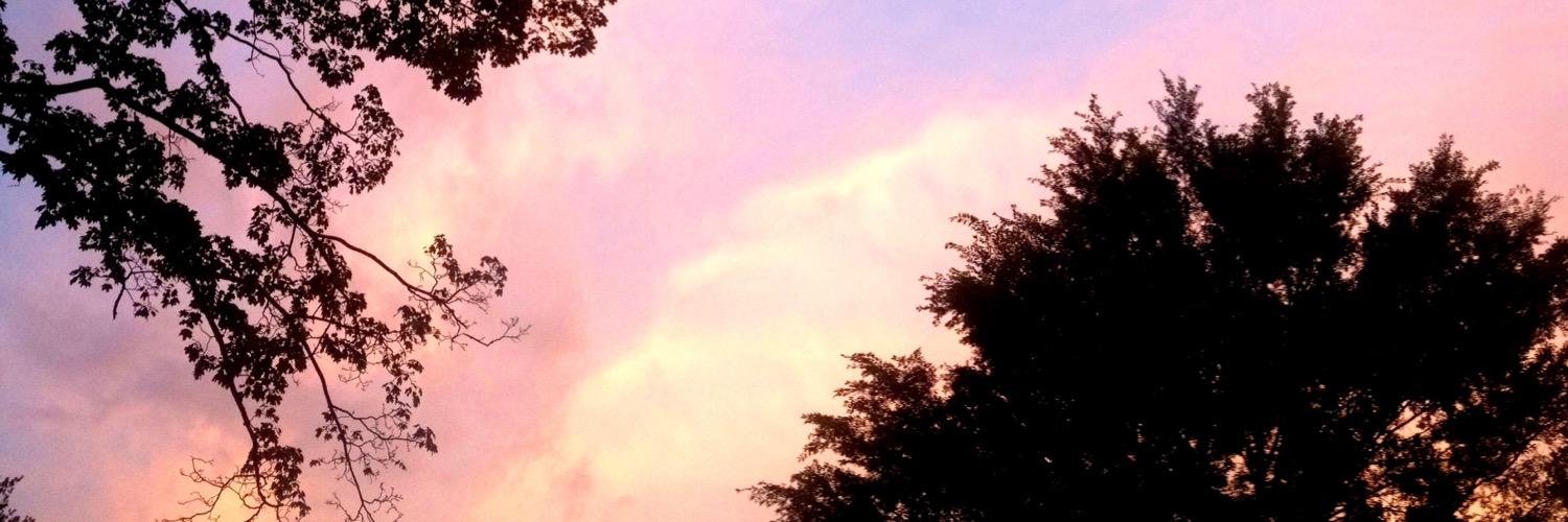 cayleyhalla's profile banner image