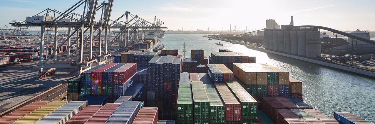 Container_Joyce's profile banner image