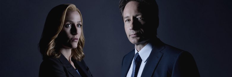 Vicky Williams 🐝 banner