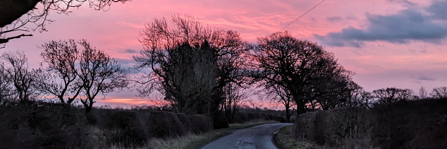 Daniel Weiand banner