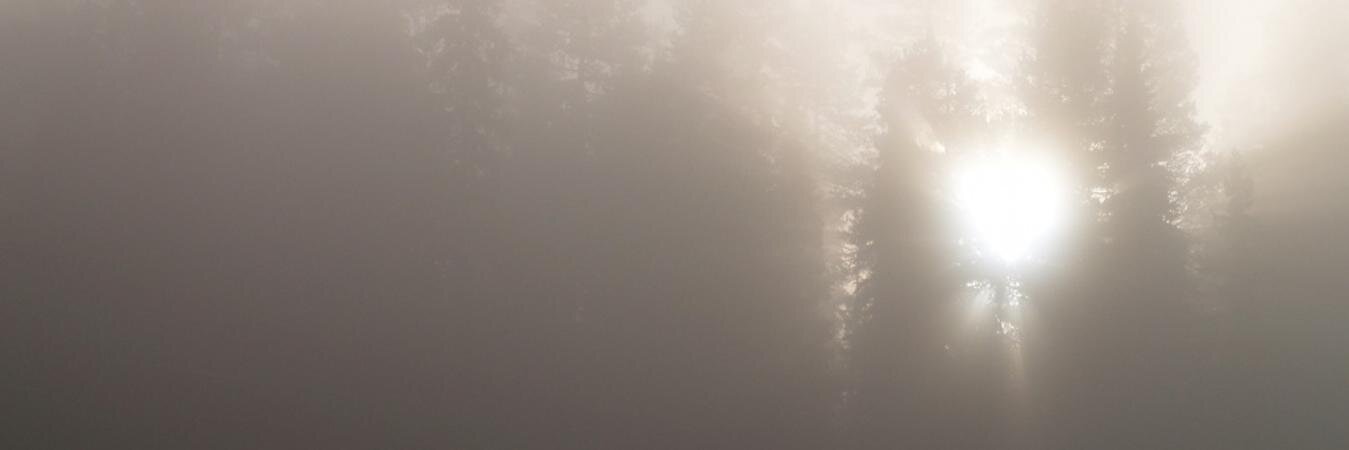 Catman (Je suis Anti-Fascist) John banner