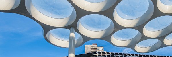 ectorhoogstad Profile Banner