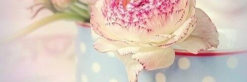 Naan9991's profile banner image