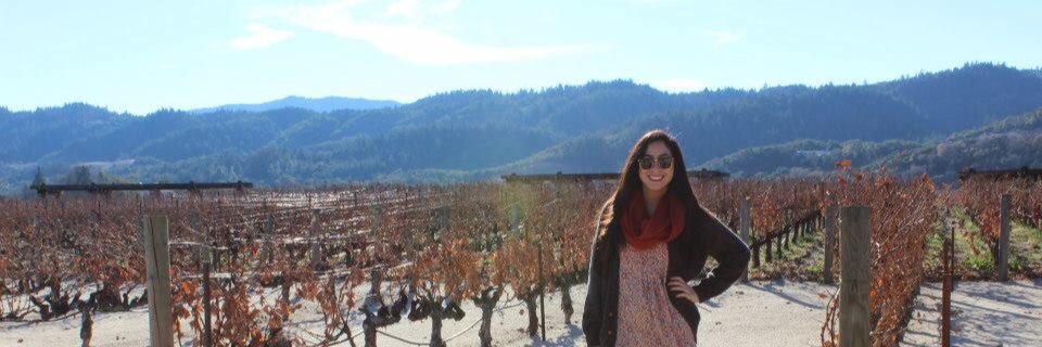 Dominique Vera banner