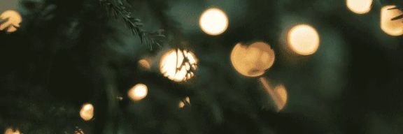 MBAlberto's profile banner image