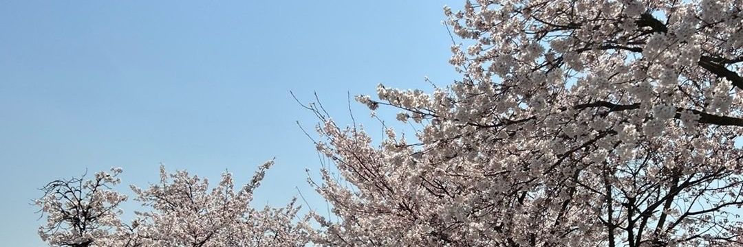 cocomeowlonc's profile banner image
