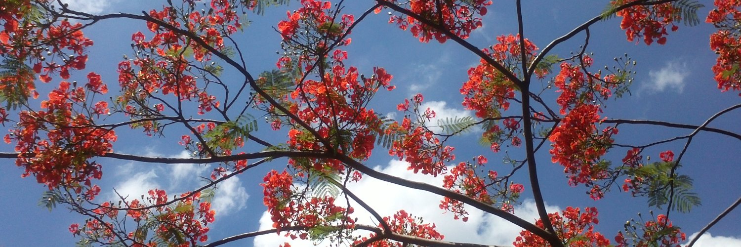 Nru_Kina's profile banner image