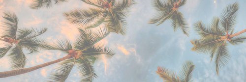 bryan_wjw's profile banner image
