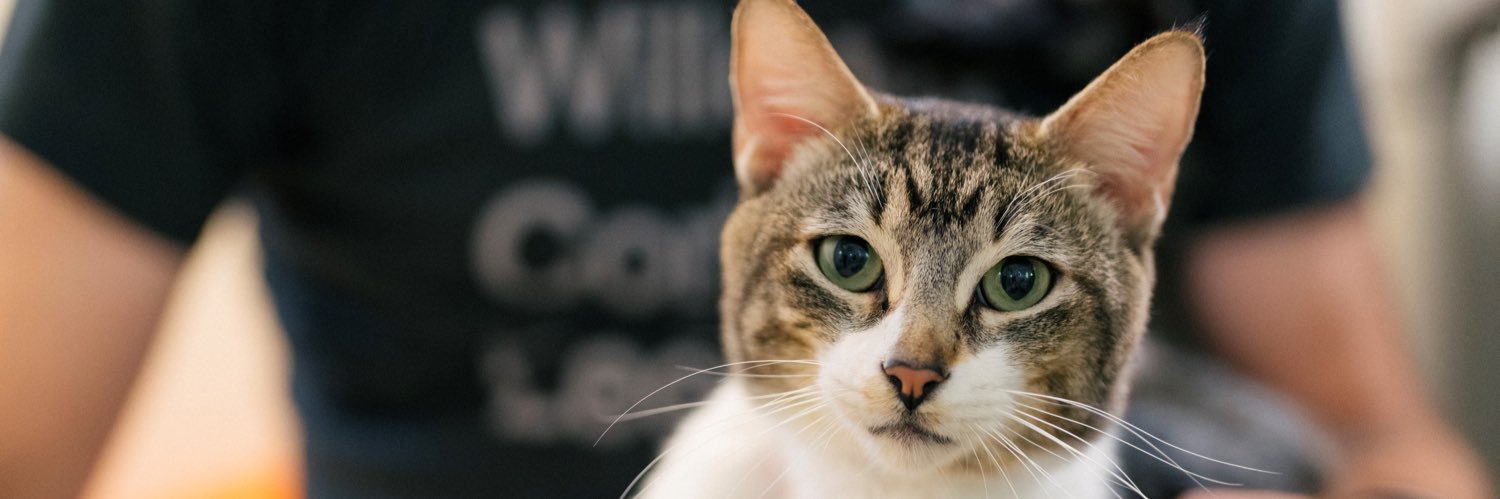 SonomaHumane's profile banner image