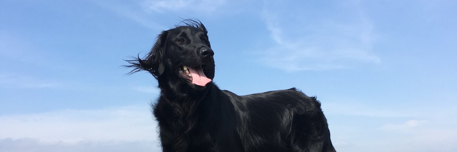tolsy05's profile banner image