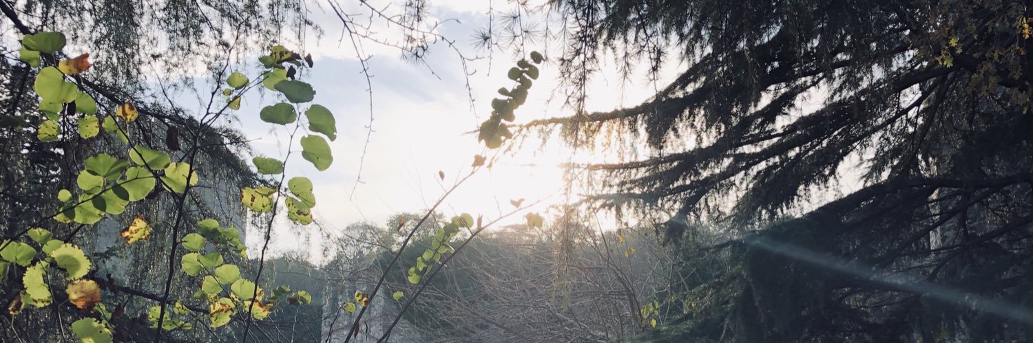 E_sraa1's profile banner image
