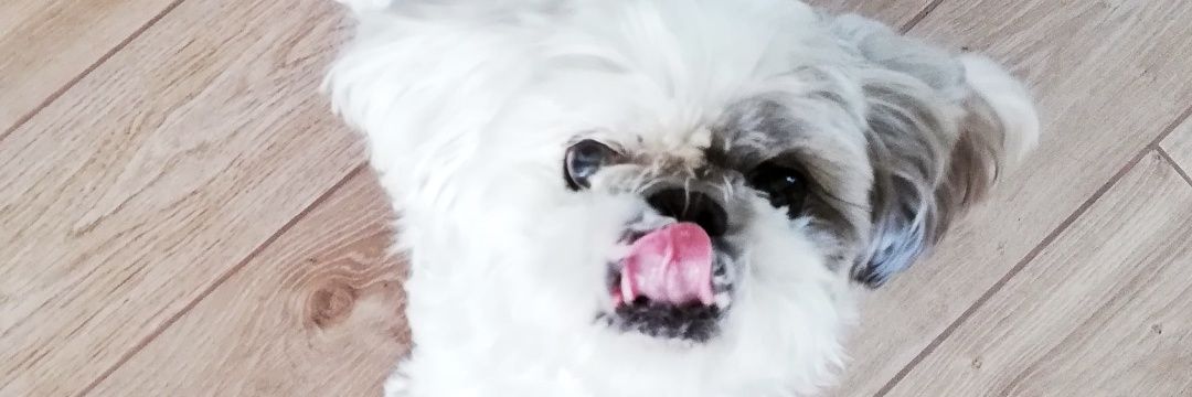 DariaLeja15's profile banner image