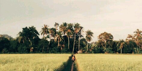 nora_mee's profile banner image