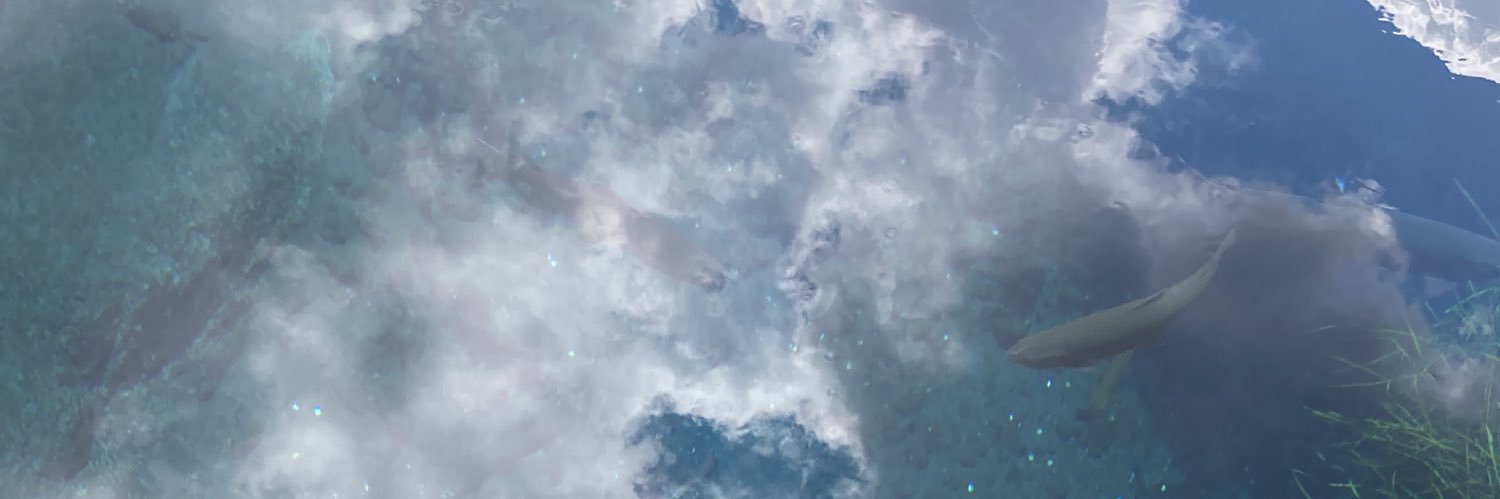 mashneko's profile banner image