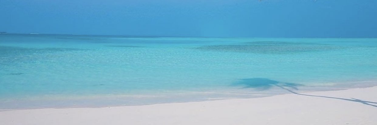 AlaaNasser6's profile banner image