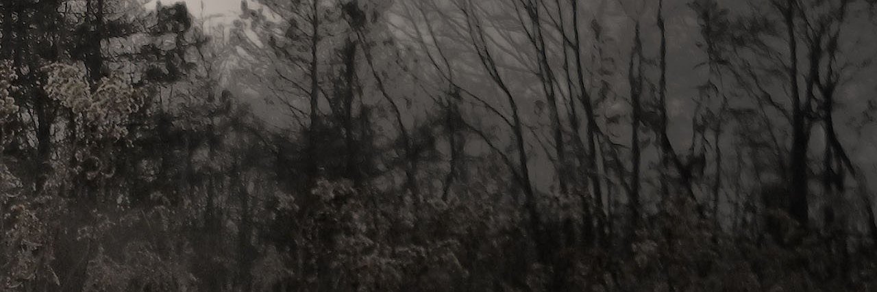 HauntingRaven's profile banner image