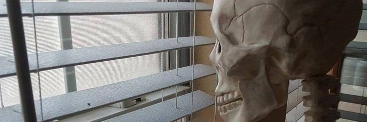 cheelee_p's profile banner image