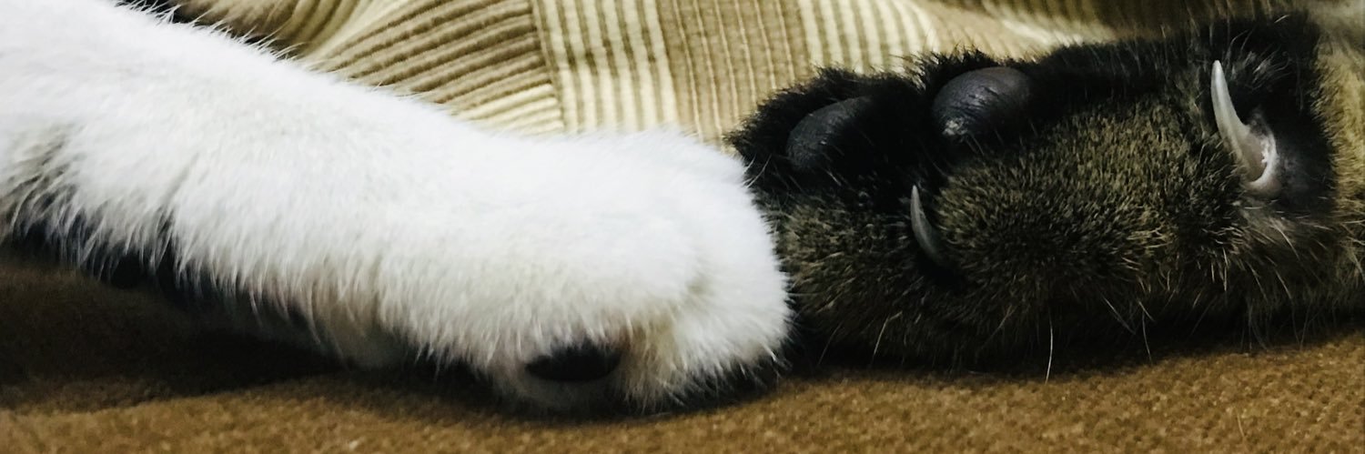 Abdullah Deewana banner