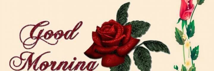 YEAROFEOSE banner