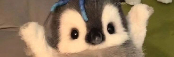 bernaculars's profile banner image
