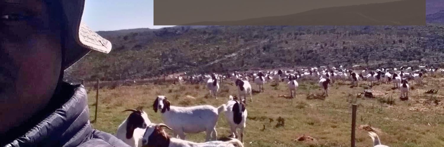 the Profounder banner