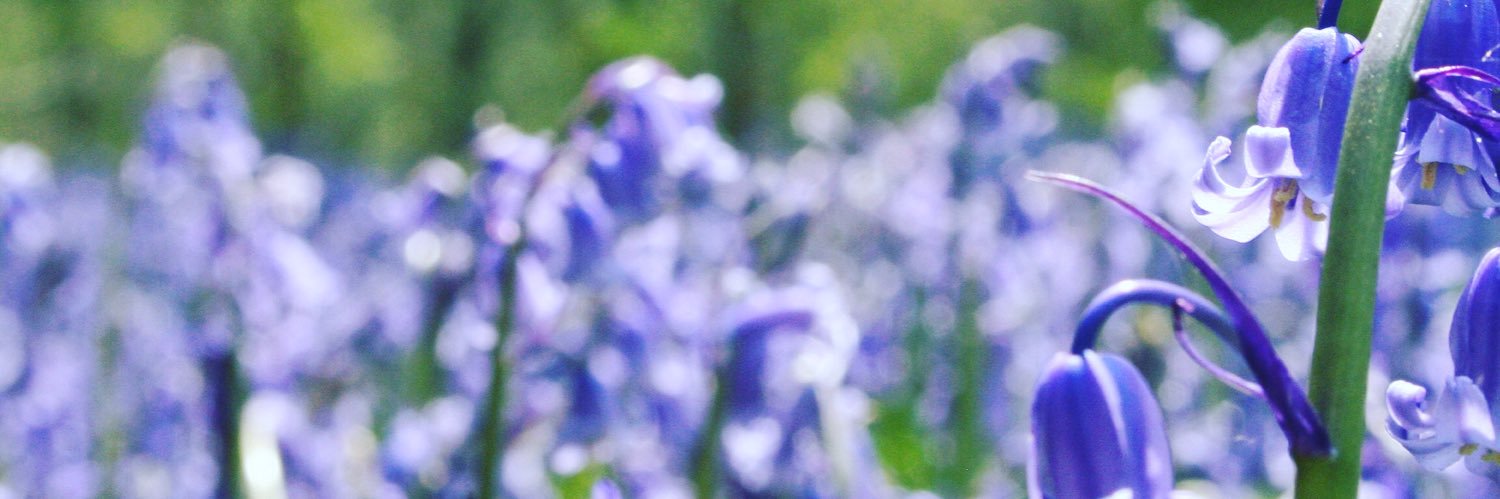 LaraLambert1's profile banner image