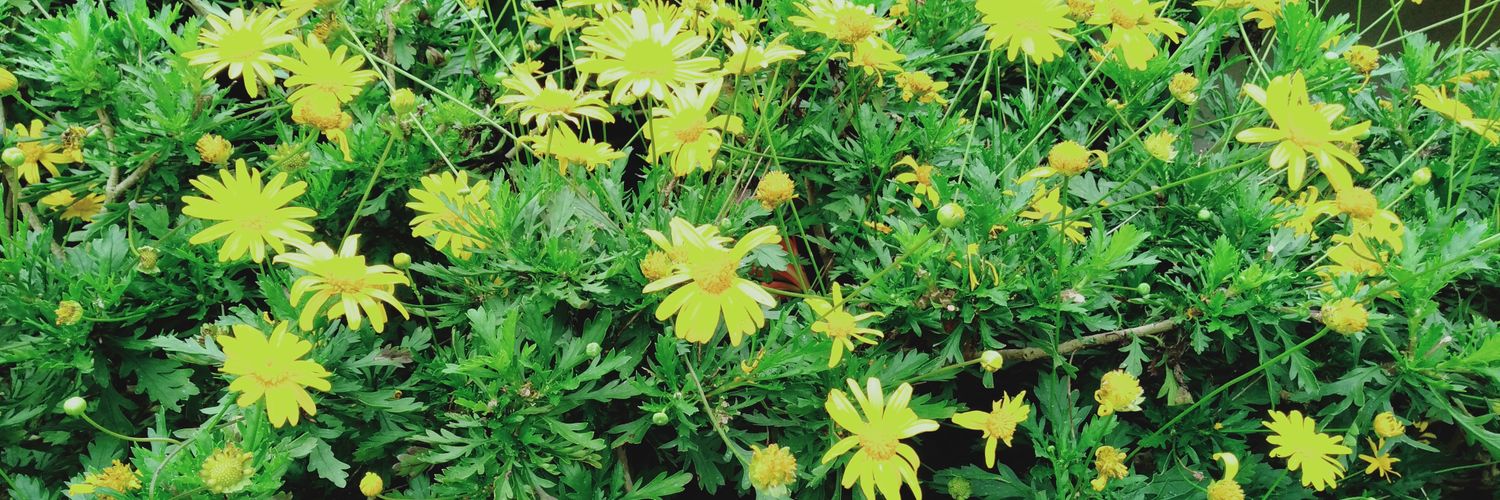 itsmemayrellp's profile banner image