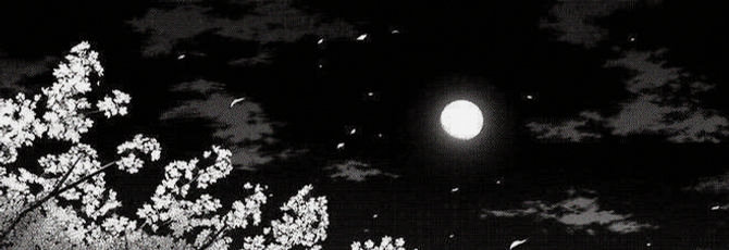 Thescribr's profile banner image