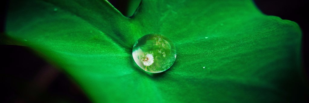 Pascal Kienast banner