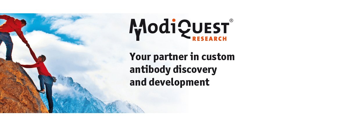 ModiQuestRes's profile banner image