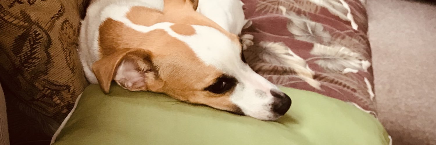 BarbfromIndy's profile banner image