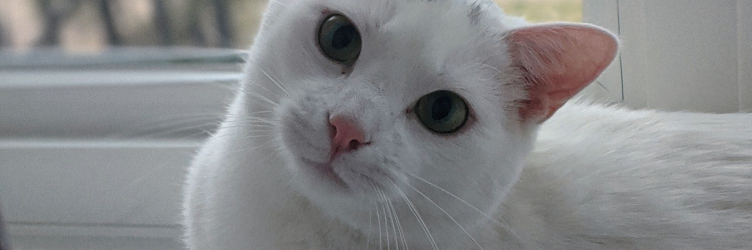 ZzzAlyki's profile banner image
