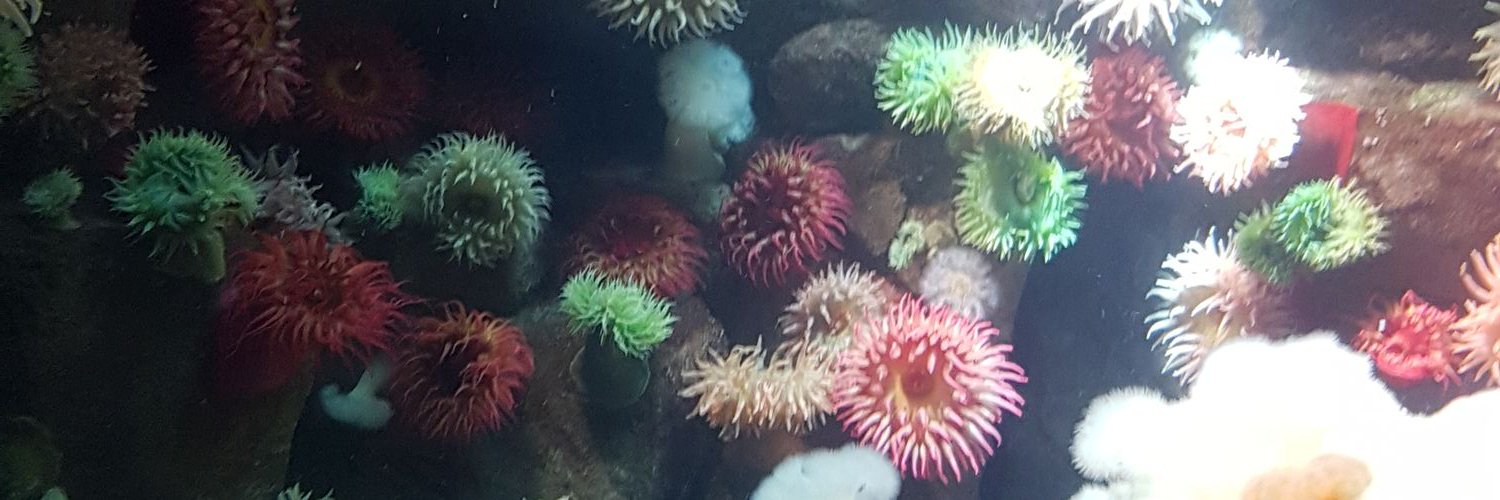 kyleyMC's profile banner image