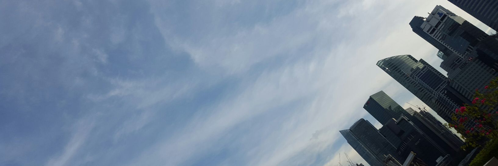StNq's profile banner image