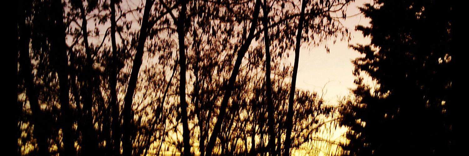 Frede_2's profile banner image